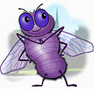 purplefly